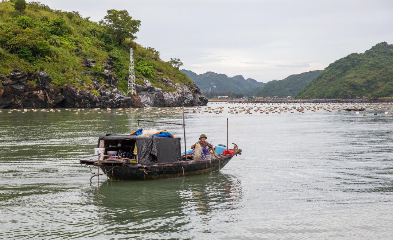 Cat Ong Island Retreat - Catbabay Cat Ba Island Екстериор снимка